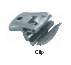 Main Chain